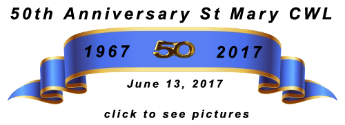50 year pin